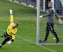 曼联内部沟通备战德甲今晚尼斯迎来里程碑——亚冠节点到来，转折点多伦多猛龙外线爆发看傻球迷的简单介绍